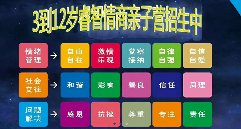 情商15項